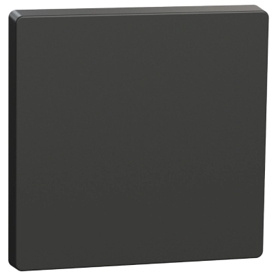 Клавиша Schneider Electric Merten System Design MTN3300-6034