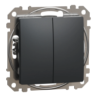 Двухклавишный выключатель Schneider Electric Sedna Design & Elements SDD214105