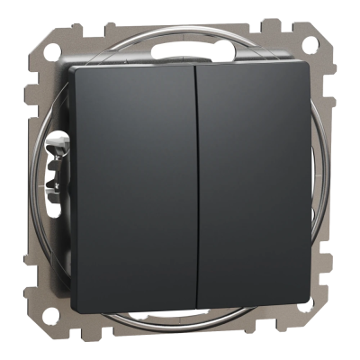 Двухклавишный выключатель Schneider Electric Sedna Design & Elements SDD214105