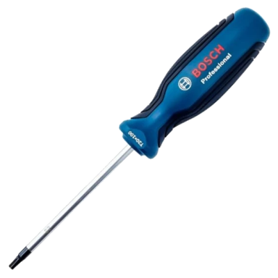 Отвертка Bosch T20 Professional 100 мм