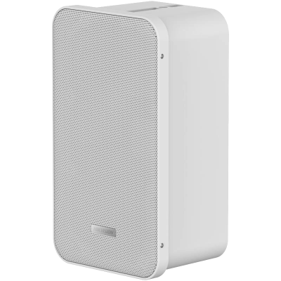 Аналоговий динамік Hikvision DS-QAE0420G1-V