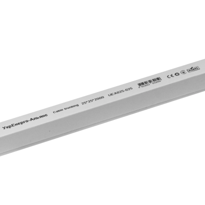 Кабельний канал 25х25 мм 2м із подвійним замком