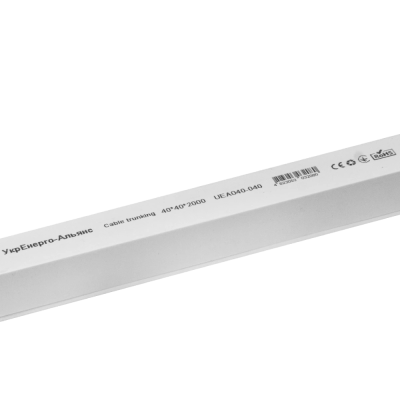 Кабельний канал 40х40 мм 2м із подвійним замком