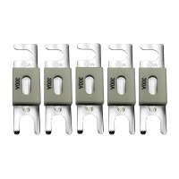 Запобіжник Victron Energy ANL-fuse 300A/80V (5 pc)