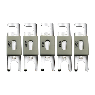 Запобіжник Victron Energy ANL-fuse 300A/80V (5 pc)