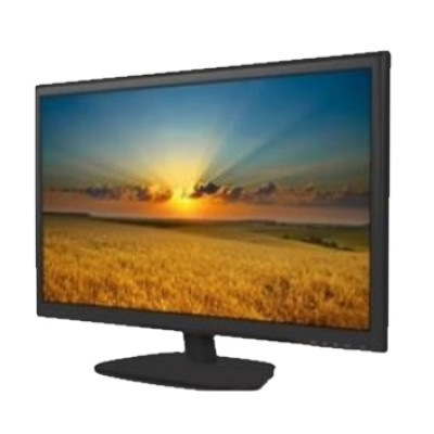 22” LED Monitor DS-D5022QE-B