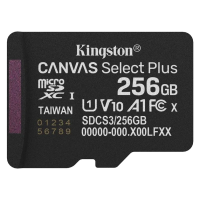 Карта пам'яті Kingston microSD 256GB C10 UHS-I A1 V10 R150MB/s