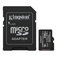 Карта пам'яті Kingston microSD 256GB C10 UHS-I A1 V10 R150MB/s + SD