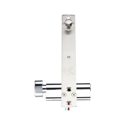 Ригельний замок Yli Electronic YB-500C (LED)