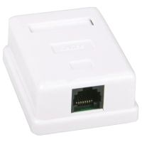 Розетка компьютерная одинарная Kingda 1хRJ45 UTP Розетка компьютерная одинарная Kingda 1хRJ45 UTP