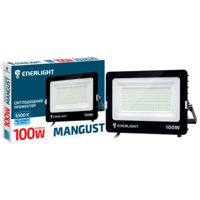 Прожектор светодиодный 100Вт 6500K ENERLIGHT MANGUST