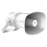 Сетевой рупорный динамик DS-QAZ1325G1T