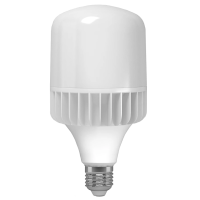 LED лампа VIDEX A65 20W E27 5000K 220V
