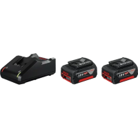 Зарядное устройство + 2 аккумулятора Bosch GAL 18V-40 + GBA 18 В 4.0 Ah (1600A019S0)